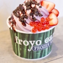 Froyo Earth - Dairy Products