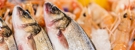 Gulf & Pacific Seafood, Inc. - Fish & Seafood-Wholesale