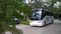 Horizon Coach Lines - Bus Lines