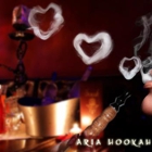Aria Hookah Lounge
