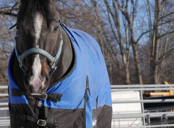 North Jersey Equestrian Center - Pompton Plains, NJ