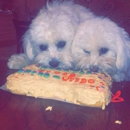 Paws & Pupcakes - Pet Specialty Services