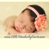 Little Wonders Photography gallery