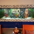 Aqualife Aquarium Systems - Public Aquariums