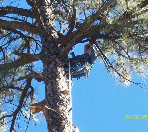 B&G Tree Trimming - Albuquerque, NM