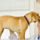 South Dixie Animal Hospital - Veterinary Clinics & Hospitals