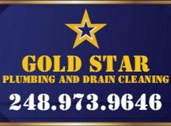 Gold Star Plumbing and Drain Cleaning - Waterford Township, MI