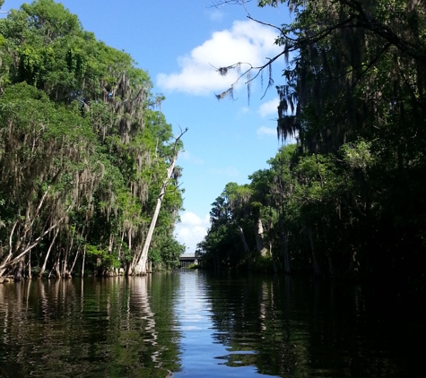 Kayaking Florida Waters - Leesburg, FL