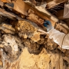 Feel Good Pest Solutions gallery