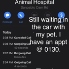 Animal Care Clinic