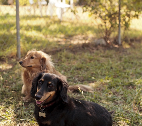 Cedarshade Pet Retreat - Red Oak, TX