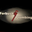 Forbush Plumbing - Plumbers