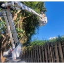 The A Team & The Bee Team - Bee Control & Removal Service