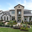 Travisso Florence Collection - Taylor Morrison