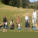 The Dog Squad - Pet Training