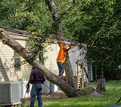 Oliphant Tree Service - Huntsville, TX