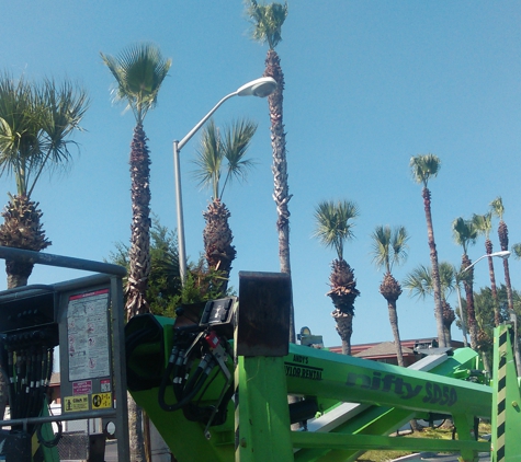 Anthony Smith Tree Service and Lawn Care - Saint Augustine, FL