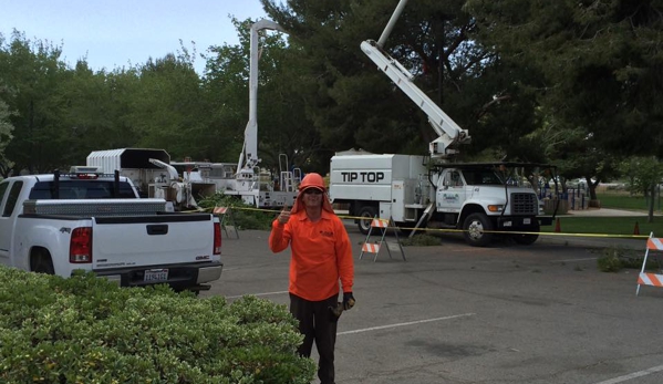 Tip Top Arborists