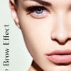 The Brow Effect gallery