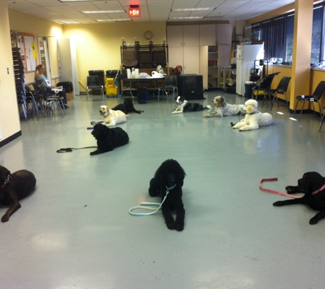 Pender Vet Centre Dog Training - Fairfax, VA