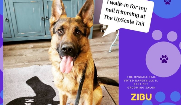 The Upscale Tail Pet Grooming Salon - Naperville, IL. Walk-in for nail trimming