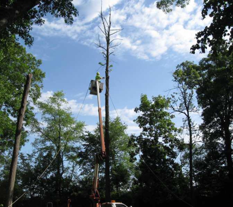 AAA Tree Service - Granville, IL