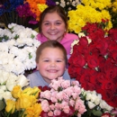 Bailey's Flowers & Gifts - Flowers, Plants & Trees-Silk, Dried, Etc.-Retail