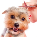 Dog Patch Grooming - Pet Grooming