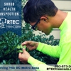 RTEC Treecare gallery