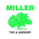 Miller Tree & Landscape - Tree Service