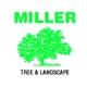 Miller Tree & Landscape