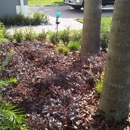 Best landscape services corp. - Landscape Designers & Consultants