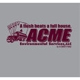 Acme Environmental Services