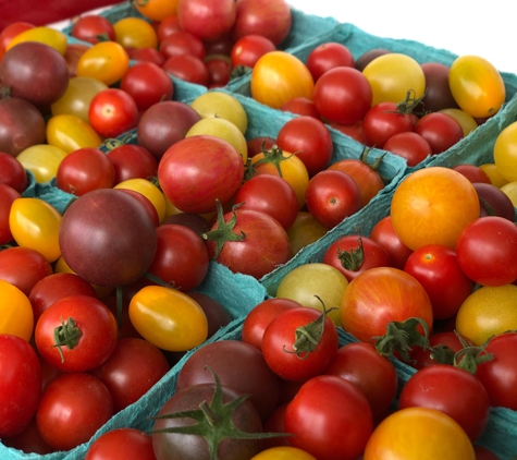 Orbaker's Farm Market - Williamson, NY