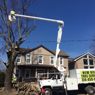 New View Tree Service - Blairsville, PA