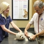 Arlington Pet Care Hospital