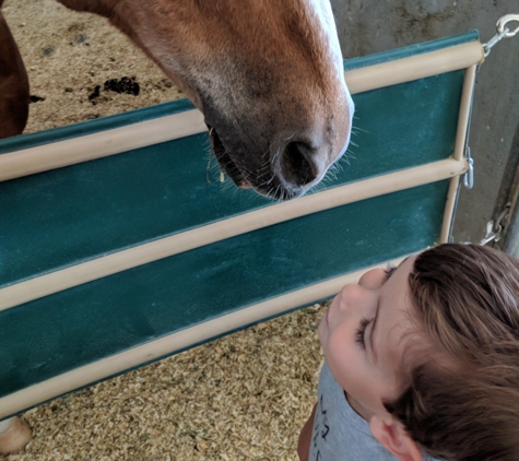 The Horse Park at Woodside - Woodside, CA