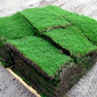 Affordable SOD, Soil & Nursery