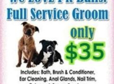 Groomingdales hot sale on cheyenne