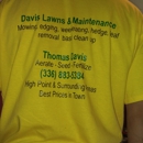 Davis Lawns & Maintenance - Lawn Maintenance