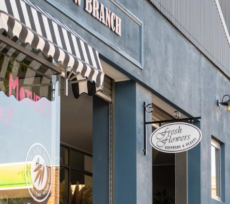 The Willow Branch - Drouin, VIC