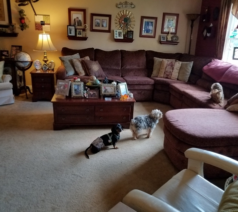 patty's pet sitting  services - Portsmouth, VA