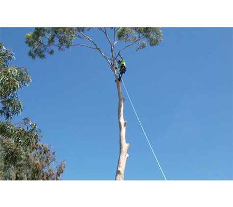 Redback Tree Services