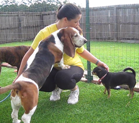 Pups At Play - Denham Springs, LA