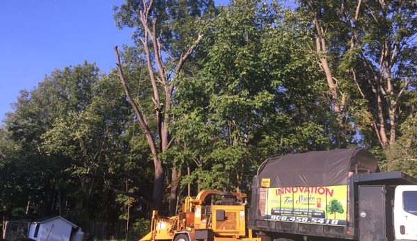 Innovation tree services and landscaping - Somerset, NJ
