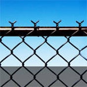 Gallery Image Number 1