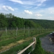 Walpole Mountain View Winery