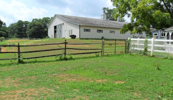 Dogs on the farm salon