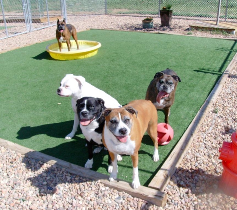 Birch Hill Kennels - Northfield, NH. Doggie Day Care in Northfield, NH