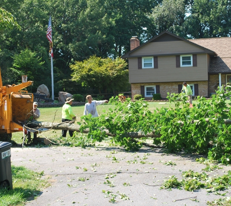 Berra Tree Experts - Burtonsville, MD. Final